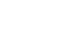 Devimco logo